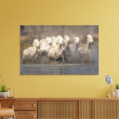 Frankrijk, Provence. Witte Camargue-paarden Canvas Afdruk (Insitu (Woonkamer))