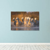 Frankrijk, Provence. Witte Camargue paarden Canvas Afdruk (Insitu (Houten vloer))