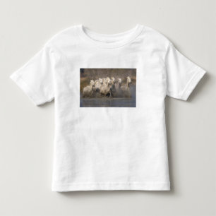 Frankrijk, Provence. Witte Camargue-paarden in gal Kinder Shirts