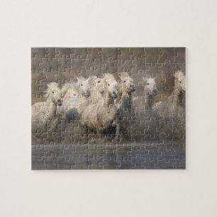Frankrijk, Provence. Witte Camargue-paarden in gal Legpuzzel
