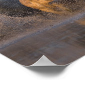 Frankrijk, Provence. Witte Camargue paarden Poster (Hoek)