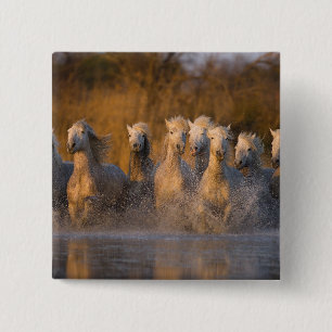 Frankrijk, Provence. Witte Camargue paarden Vierkante Button 5,1 Cm