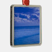 Frankrijk, Réunion Island, Saint-Pierre, waterfron Metalen Ornament (Rechts)