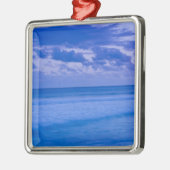 Frankrijk, Réunion Island, Saint-Pierre, waterfron Metalen Ornament (Links)