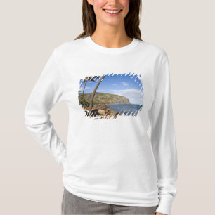 Frankrijk, Reunion Island, St-Denis, uitzicht op L T-shirt