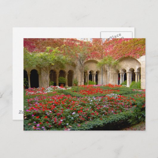 Frankrijk, St. Remy de Provence, kruidnagelvijvers Briefkaart (Voorkant / Achterkant)