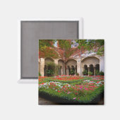 Frankrijk, St. Remy de Provence, kruidnagelvijvers Magneet (Voorkant / Achterkant)