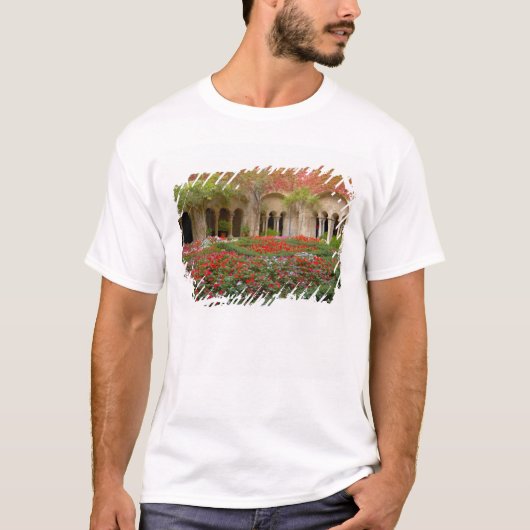 Frankrijk, St. Remy de Provence, kruidnagelvijvers T-shirt (Voorkant)