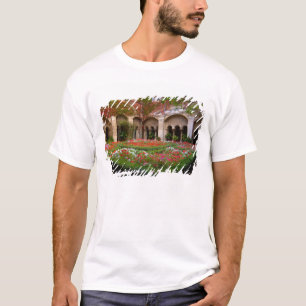Frankrijk, St. Remy de Provence, kruidnagelvijvers T-shirt