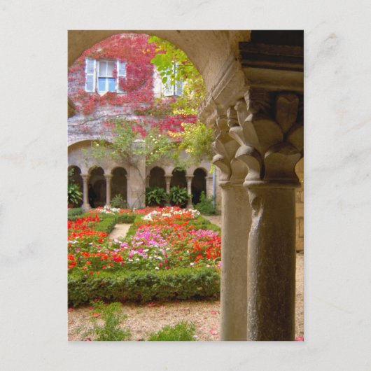 Frankrijk, St. Remy de Provence, stollingsmiddelen Briefkaart (Voorkant)