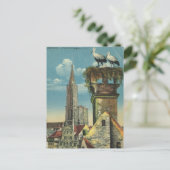  Frankrijk, Straatsburg, Stork nests 1930 Briefkaart (Staand voorkant)