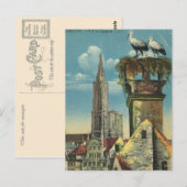  Frankrijk, Straatsburg, Stork nests 1930 Briefkaart (Voorkant / Achterkant)