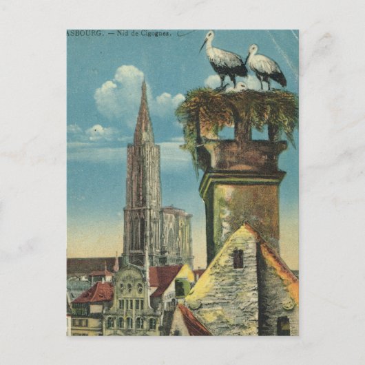  Frankrijk, Straatsburg, Stork nests 1930 Briefkaart (Voorkant)