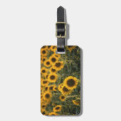 Frankrijk, Vaucluse, zonnebloemen Bagagelabel (Voorkant verticaal)