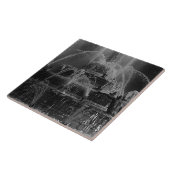  Frankrijk Versailles paleis Latona Fountain Tegeltje (Zijkant)