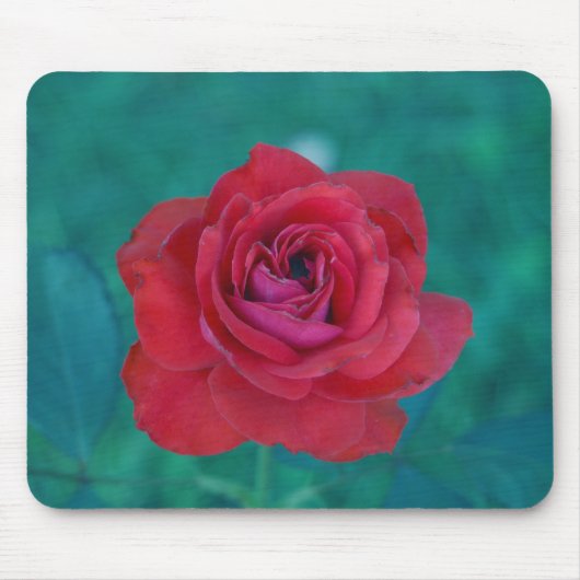 Franks Roos Mousepad Muismat (Voorkant)