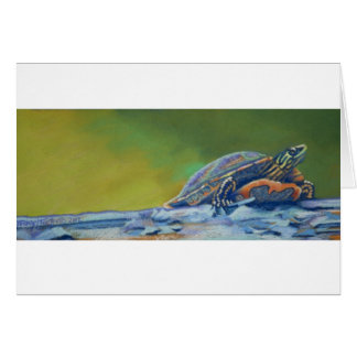 Frank's schildpad