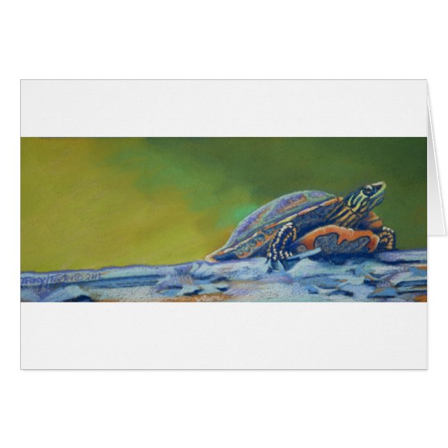 Frank's schildpad (Voorkant Horizontaal)