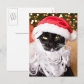 Franny Claus Sad Santa Kat Feestdagenkaart (Voorkant / Achterkant)