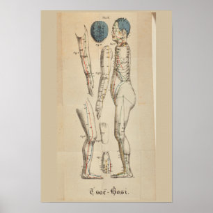 Frans 1825 Acupunctuur Meridian Points Poster