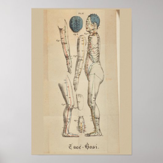 Frans 1825 Acupunctuur Meridian Points Poster (Voorkant)