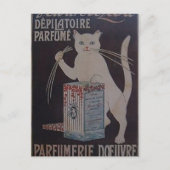  Frans Advertisement - katten Briefkaart (Voorkant)