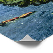 Frans afbeelding, Frankrijk, Toulon, Pet Brun Poster (Hoek)