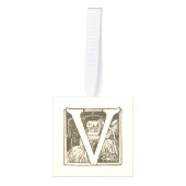  Frans alfabet Ornament Set "V" (Voorkant)