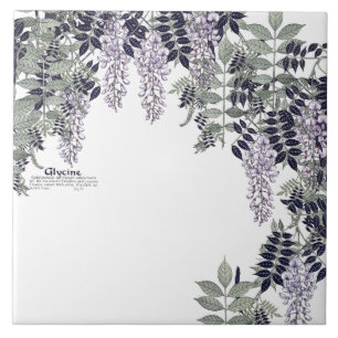 Frans Art Nouveau Wisteria Flowers Ceramic Tile Tegeltje