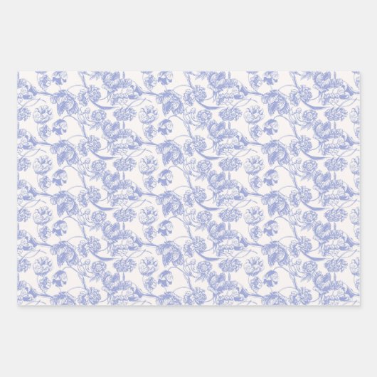 Frans Blauw Verpakkend Document Vlak Blad Reeks va Inpakpapier Vel (Voorkant)