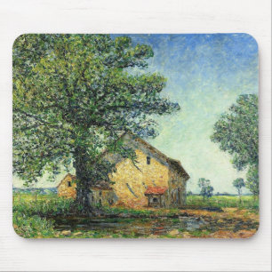 Frans Boerderij in La Petite Mare (door Francis Pi Muismat