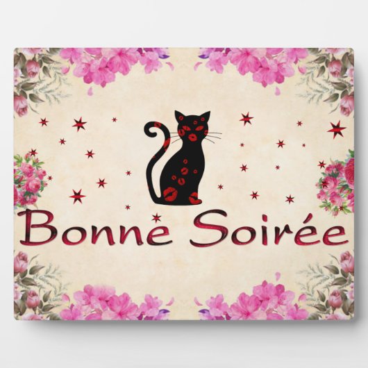 Frans:Bonne Soiree Plaque Fotoplaat (Voorkant)