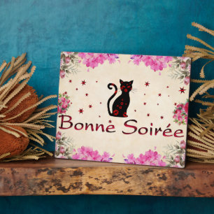 Frans:Bonne Soiree Plaque Fotoplaat