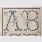 Frans borduurpatroon Decoupage of Giftwrap Tissuepapier (Voorkant)