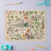 Frans botanisch fleurs tissuepapier (Craft)