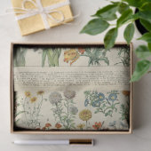 Frans botanisch jaarlijks bloemen tissuepapier (Geschenk)