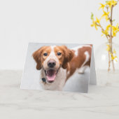 Frans-Bretagne-Wenskaart Kaart (Gele Bloem)