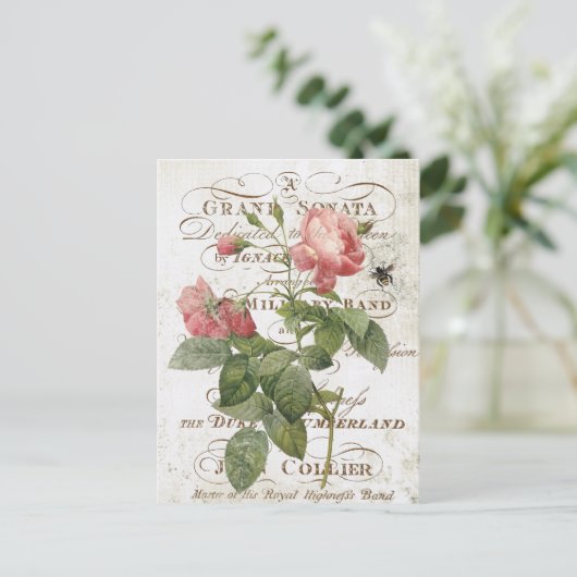 Frans briefkaart botanisch roos (Staand voorkant)