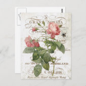 Frans briefkaart botanisch roos (Voorkant / Achterkant)