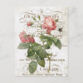  Frans briefkaart botanisch roos (Voorkant)