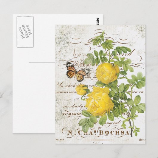  Frans briefkaart botanisch roos (Voorkant / Achterkant)