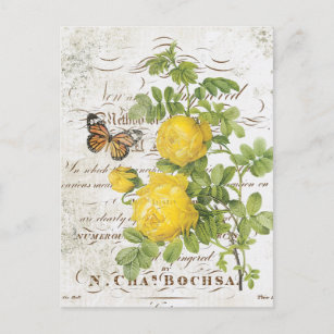  Frans briefkaart botanisch roos