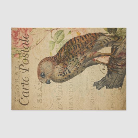  Frans Briefkaart Owl on Branch Decoupage Tissuepapier (Voorkant)