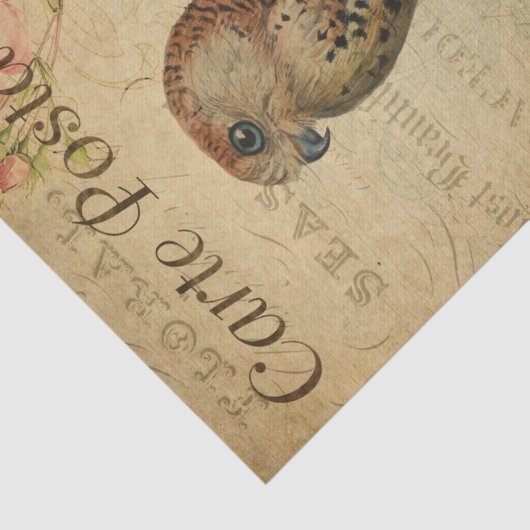  Frans Briefkaart Owl on Branch Decoupage Tissuepapier (Detail)