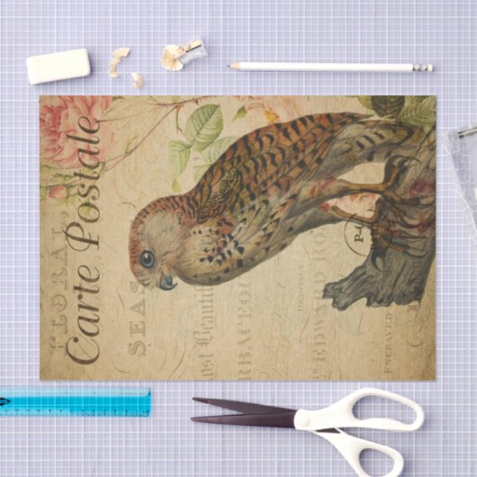  Frans Briefkaart Owl on Branch Decoupage Tissuepapier (Craft)