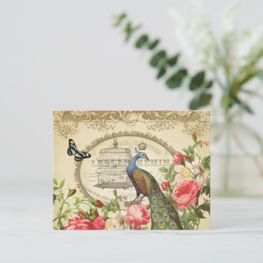  Frans briefkaart Peacock (Staand voorkant)