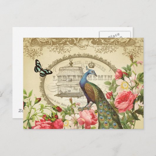  Frans briefkaart Peacock (Voorkant / Achterkant)