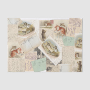  Frans Briefkaart plakpapier voor katten Tissuepapier