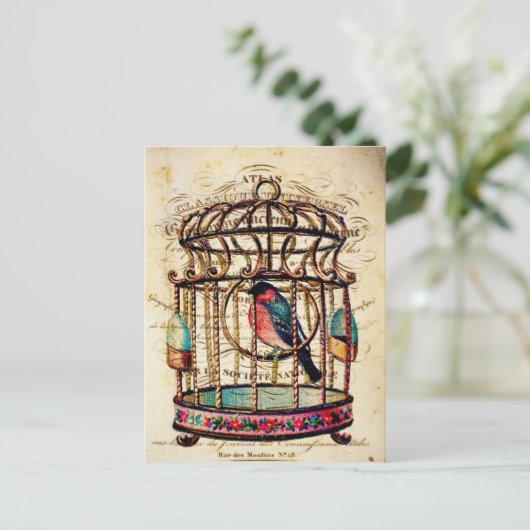  Frans Briefkaart voor Birdcage (Staand voorkant)