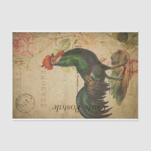 Frans Briefkaart voor ontkoppeling van kippen Tissuepapier (Voorkant)